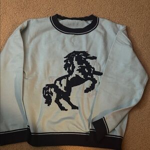 Stylish blue Woman Sweater